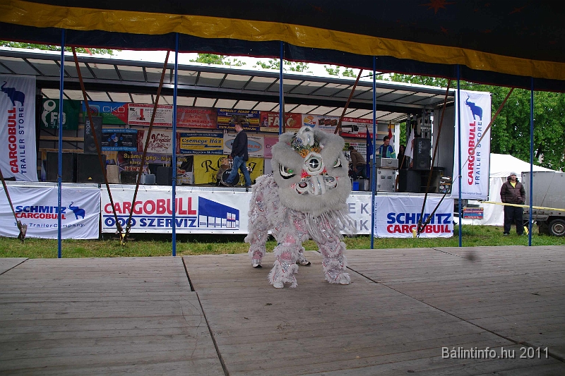 torokbalinti_varosi_majalis_2011_0229.jpg