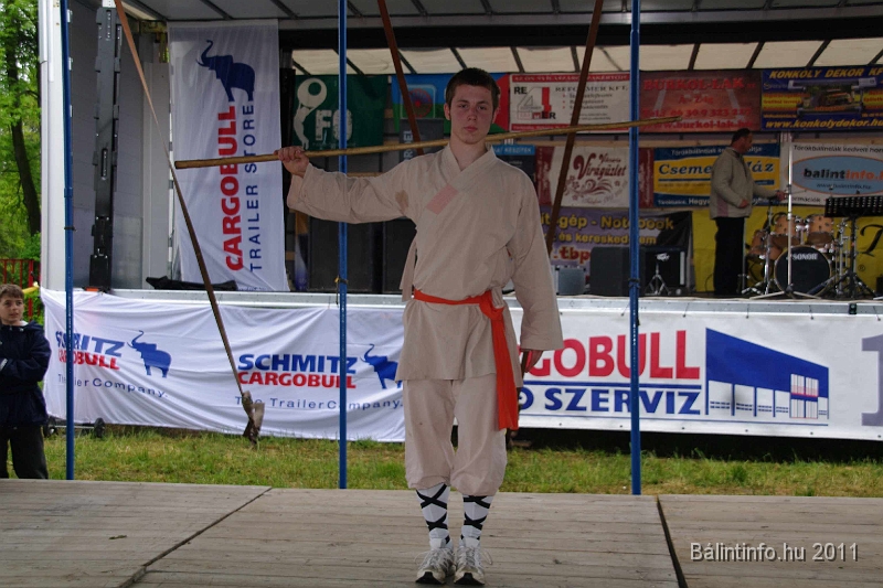 torokbalinti_varosi_majalis_2011_0234.jpg