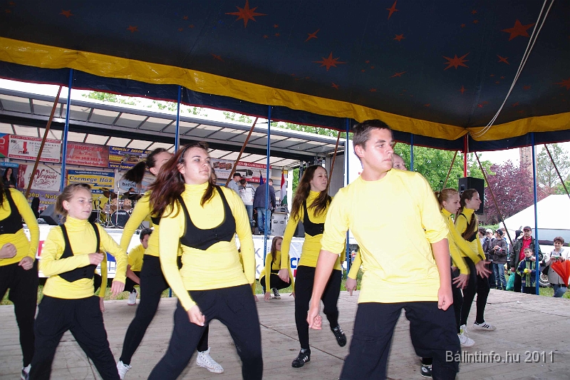 torokbalinti_varosi_majalis_2011_0246.jpg