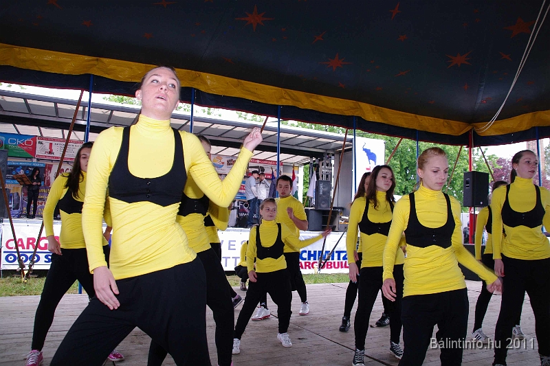 torokbalinti_varosi_majalis_2011_0247.jpg