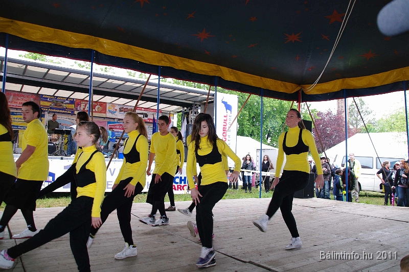 torokbalinti_varosi_majalis_2011_0248.jpg