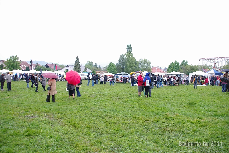 torokbalinti_varosi_majalis_2011_0254.jpg