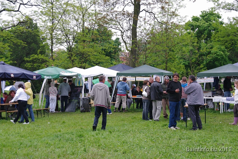 torokbalinti_varosi_majalis_2011_0260.jpg