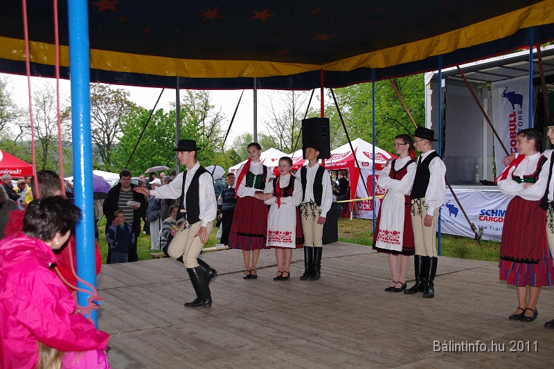 torokbalinti_varosi_majalis_2011_0270.jpg