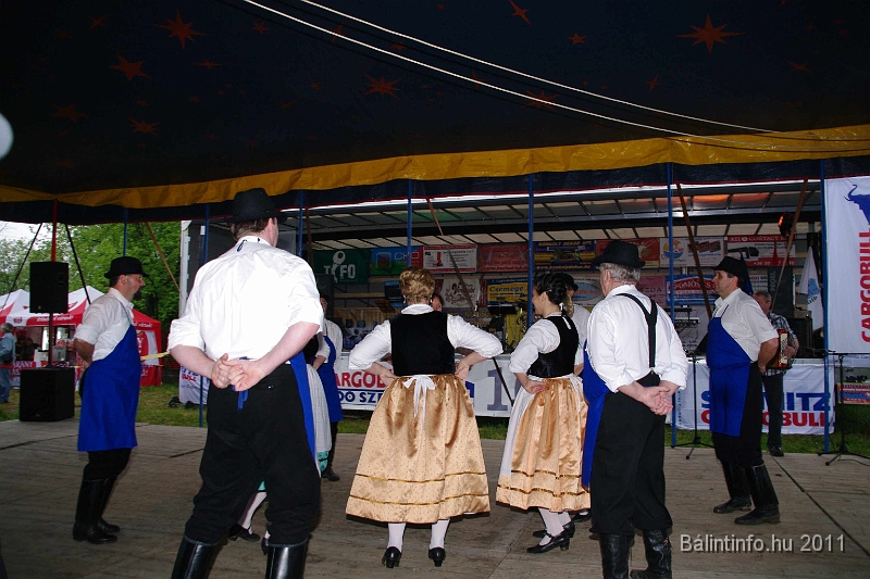 torokbalinti_varosi_majalis_2011_0276.jpg