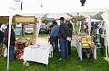 torokbalinti_varosi_majalis_2011_0102