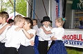 torokbalinti_varosi_majalis_2011_0142