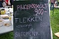 torokbalinti_varosi_majalis_2011_0198
