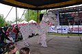 torokbalinti_varosi_majalis_2011_0227