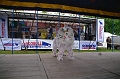 torokbalinti_varosi_majalis_2011_0229