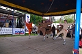 torokbalinti_varosi_majalis_2011_0231