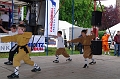 torokbalinti_varosi_majalis_2011_0233