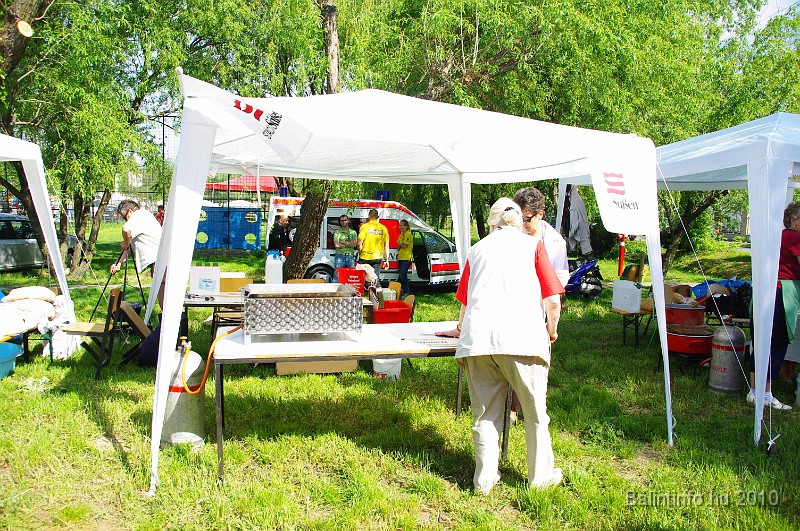 varosi_majalis_egyesuletek_2010_003.jpg