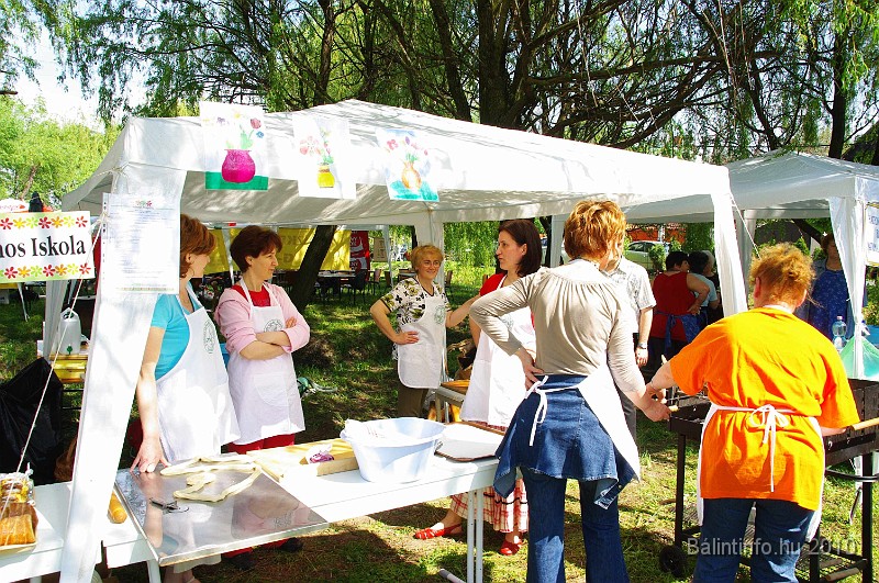 varosi_majalis_egyesuletek_2010_008.jpg