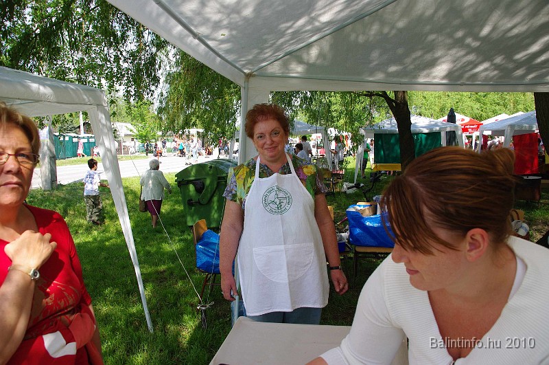 varosi_majalis_egyesuletek_2010_010.jpg