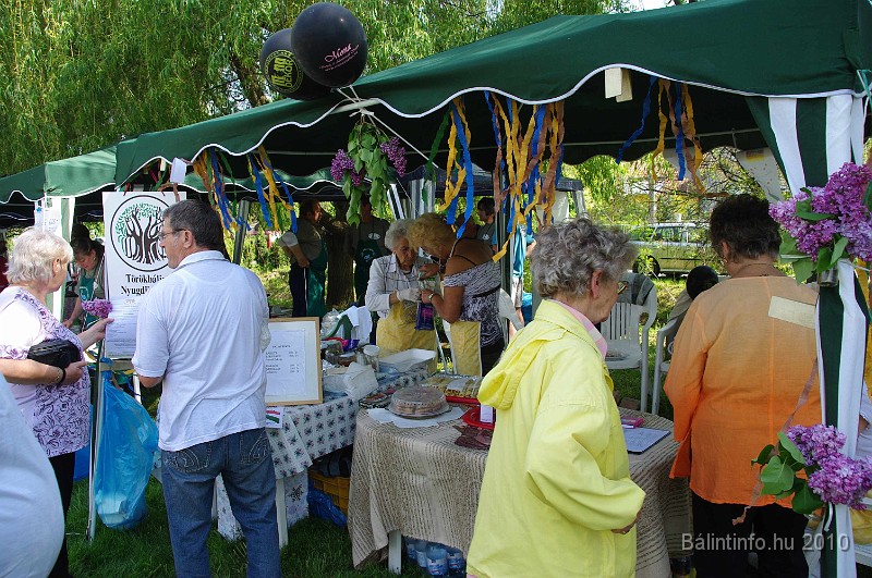varosi_majalis_egyesuletek_2010_015.jpg