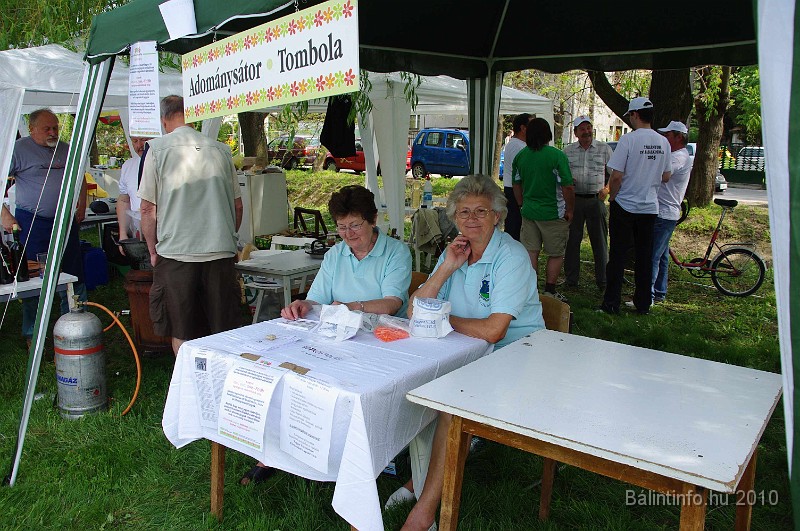 varosi_majalis_egyesuletek_2010_023.jpg