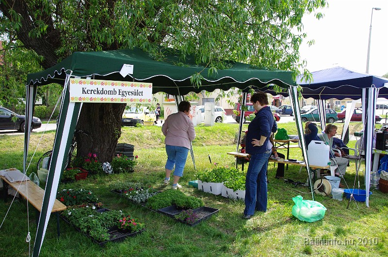 varosi_majalis_egyesuletek_2010_038.jpg