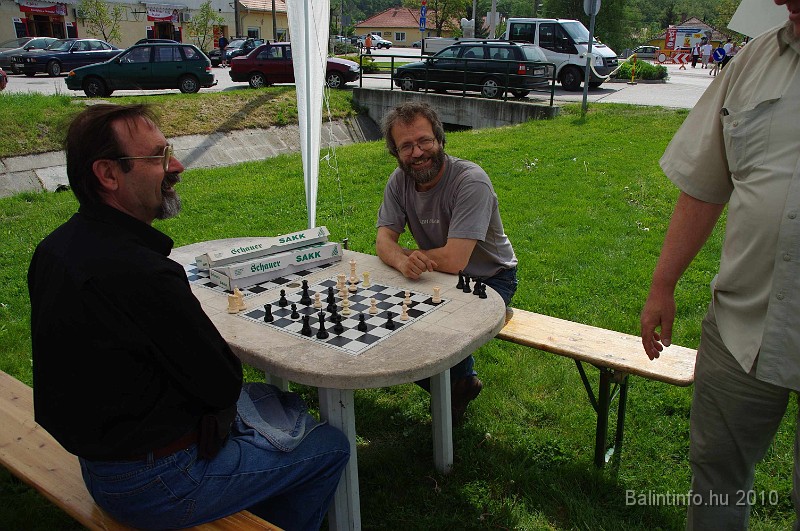 varosi_majalis_egyesuletek_2010_043.jpg