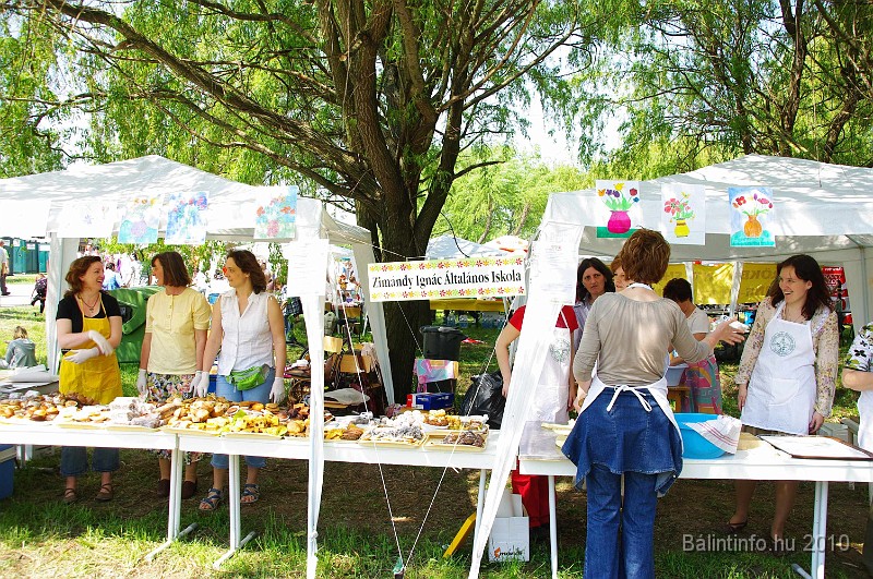 varosi_majalis_egyesuletek_2010_054.jpg