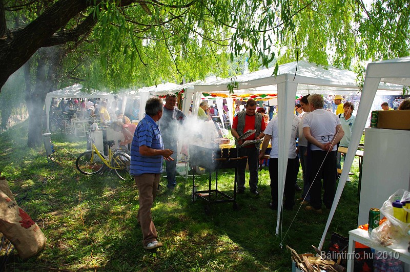varosi_majalis_egyesuletek_2010_062.jpg