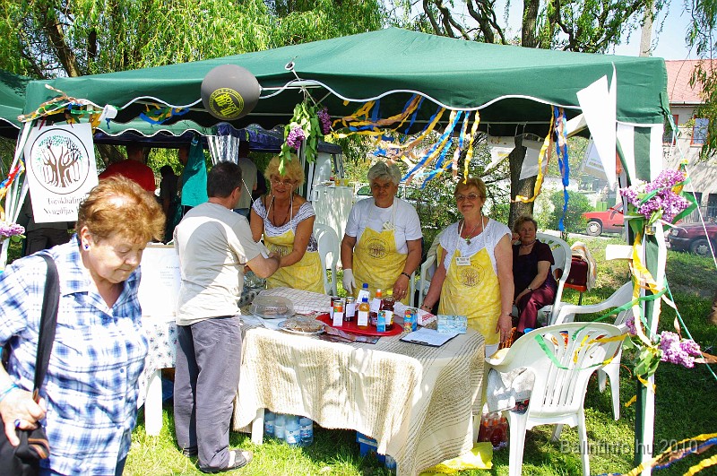 varosi_majalis_egyesuletek_2010_069.jpg