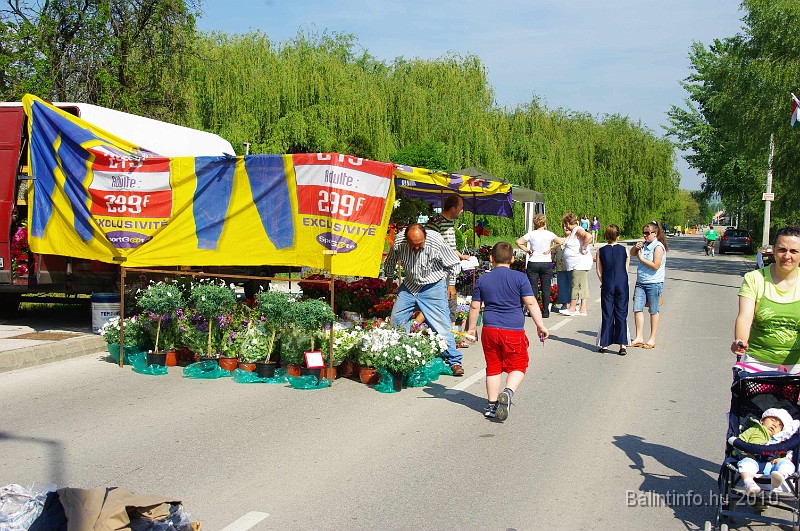 varosi_majalis_eletkepek_2010_002.jpg