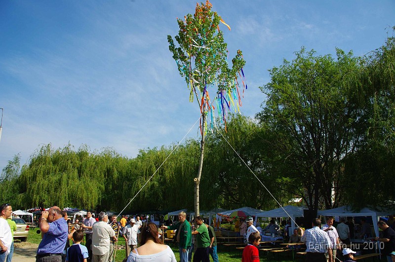 varosi_majalis_eletkepek_2010_011.jpg