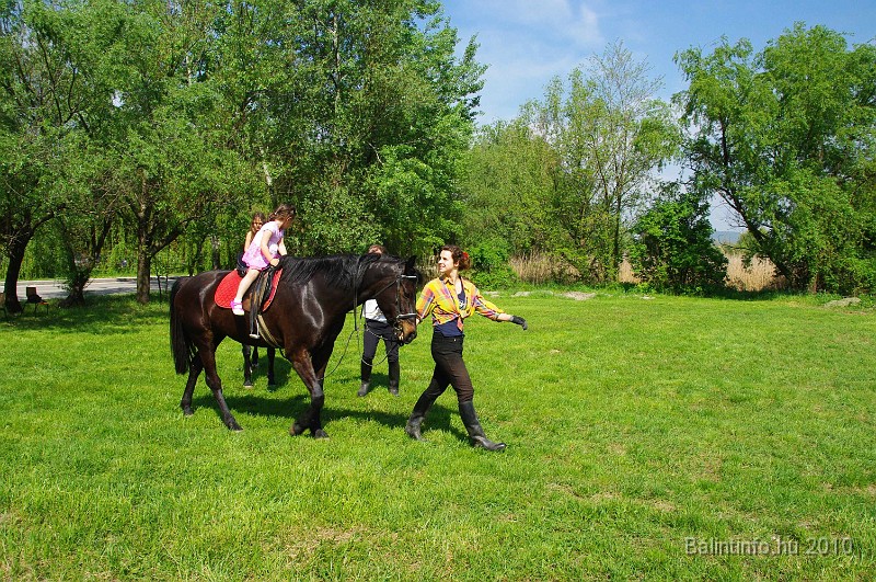 varosi_majalis_eletkepek_2010_026.jpg