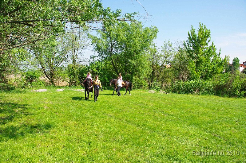 varosi_majalis_eletkepek_2010_029.jpg