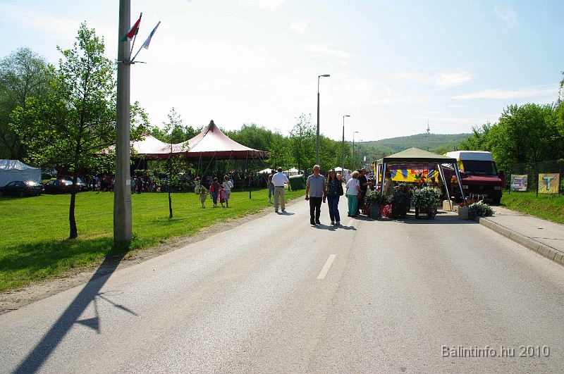 varosi_majalis_eletkepek_2010_030.jpg