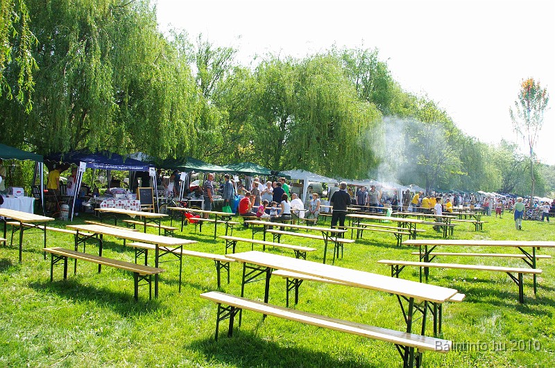 varosi_majalis_eletkepek_2010_043.jpg