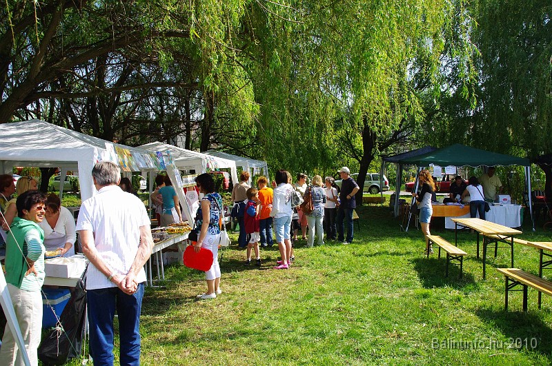 varosi_majalis_eletkepek_2010_044.jpg