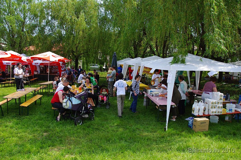 varosi_majalis_eletkepek_2010_054.jpg