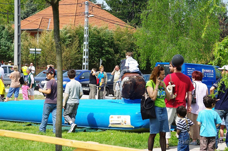 varosi_majalis_eletkepek_2010_056.jpg