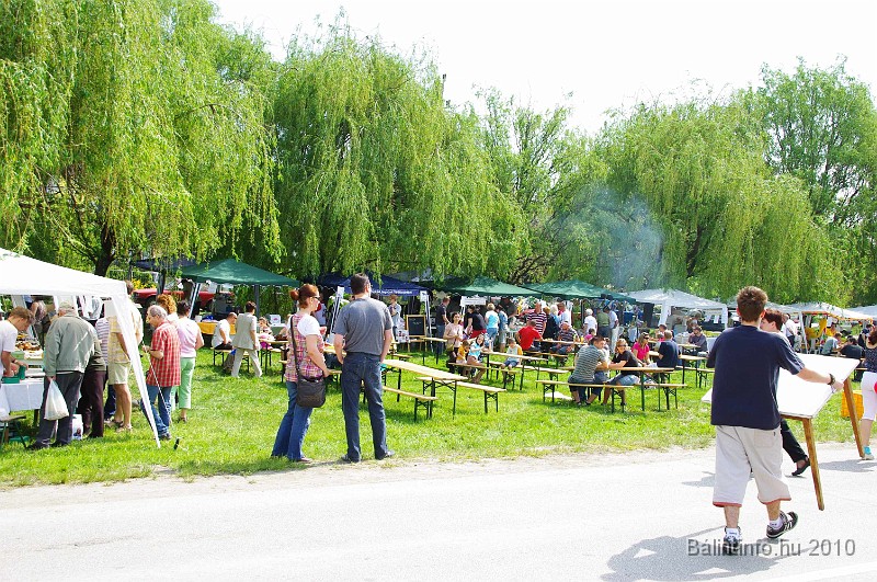 varosi_majalis_eletkepek_2010_059.jpg