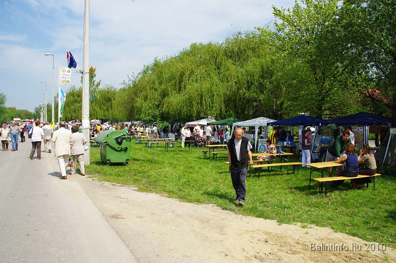 varosi_majalis_eletkepek_2010_063.jpg