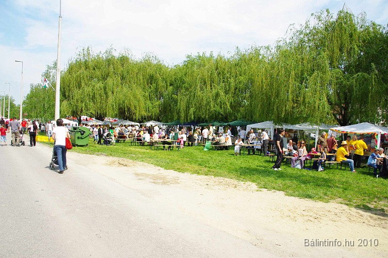 varosi_majalis_eletkepek_2010_067.jpg