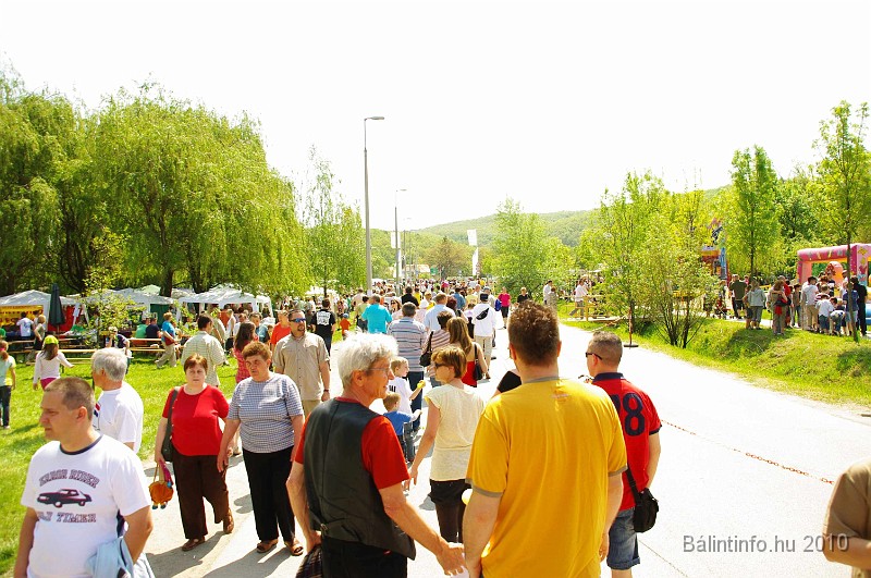 varosi_majalis_eletkepek_2010_088.jpg