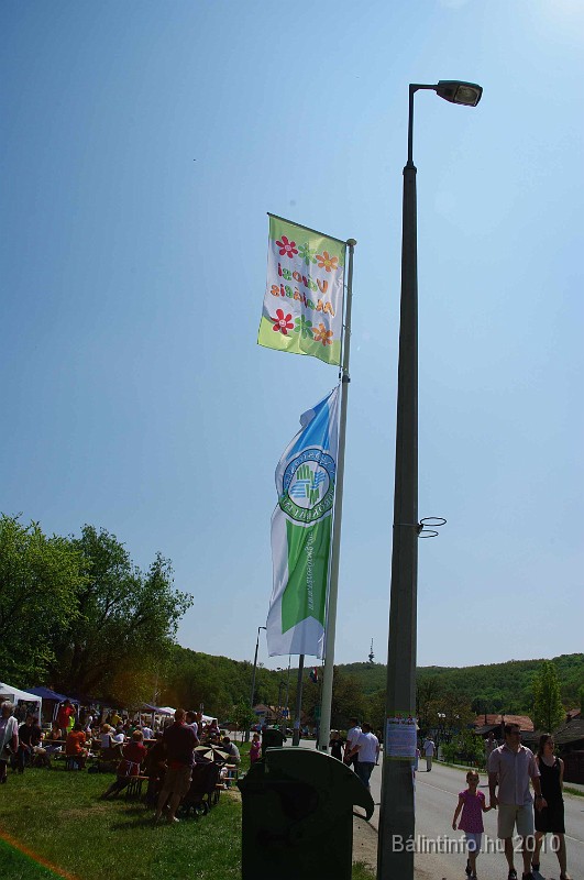 varosi_majalis_eletkepek_2010_141.jpg