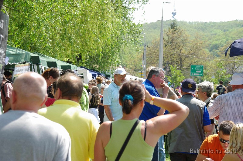 varosi_majalis_eletkepek_2010_145.jpg
