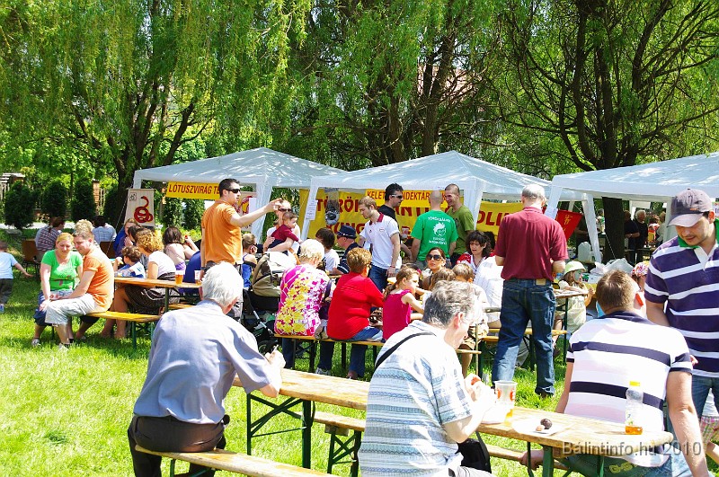 varosi_majalis_eletkepek_2010_154.jpg