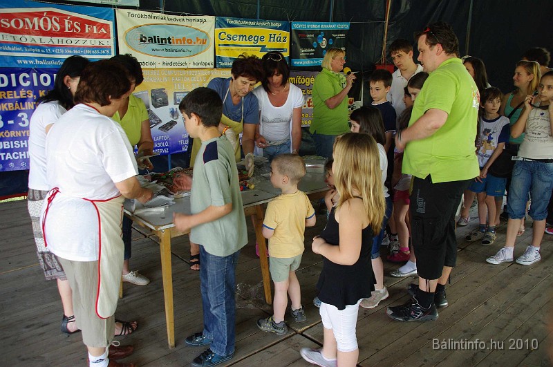 varosi_majalis_eletkepek_2010_159.jpg
