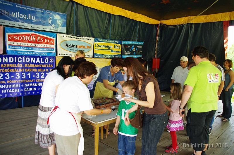 varosi_majalis_eletkepek_2010_163.jpg