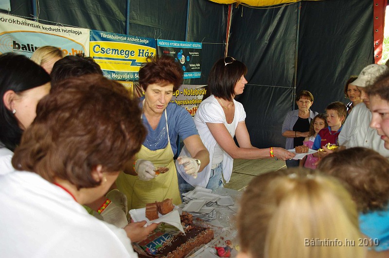 varosi_majalis_eletkepek_2010_165.jpg