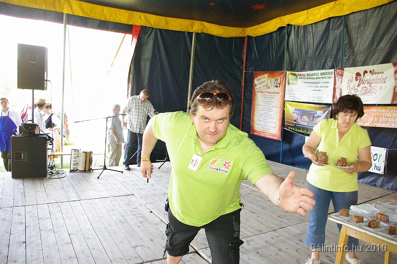 varosi_majalis_eletkepek_2010_176.jpg