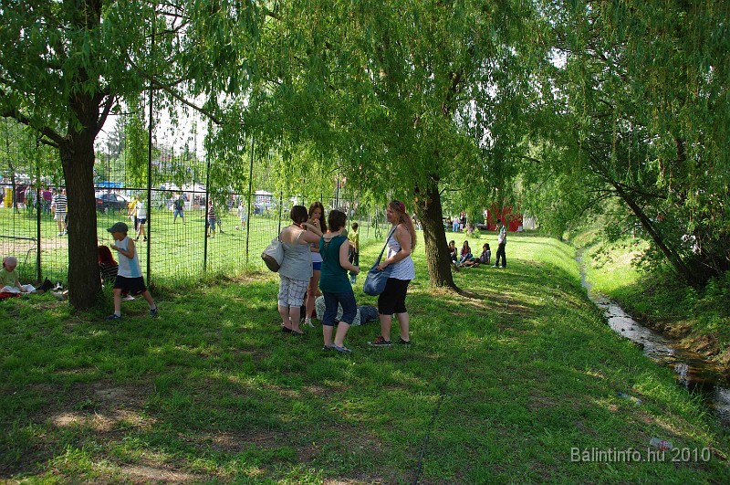 varosi_majalis_eletkepek_2010_198.jpg