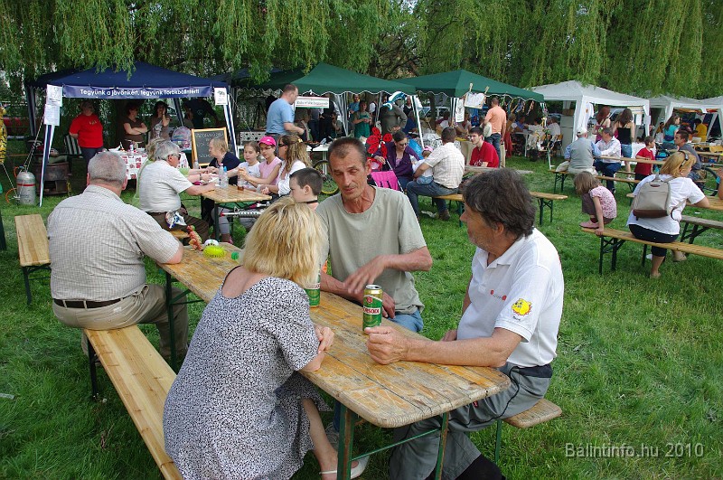 varosi_majalis_eletkepek_2010_218.jpg