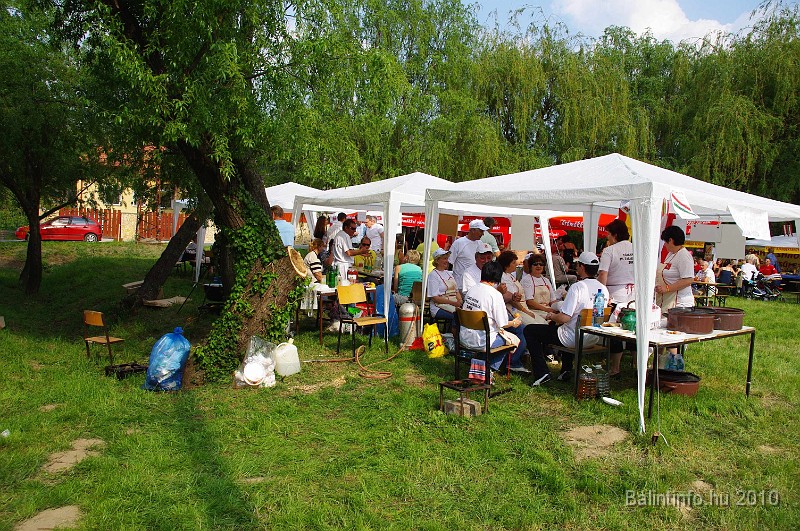 varosi_majalis_eletkepek_2010_228.jpg