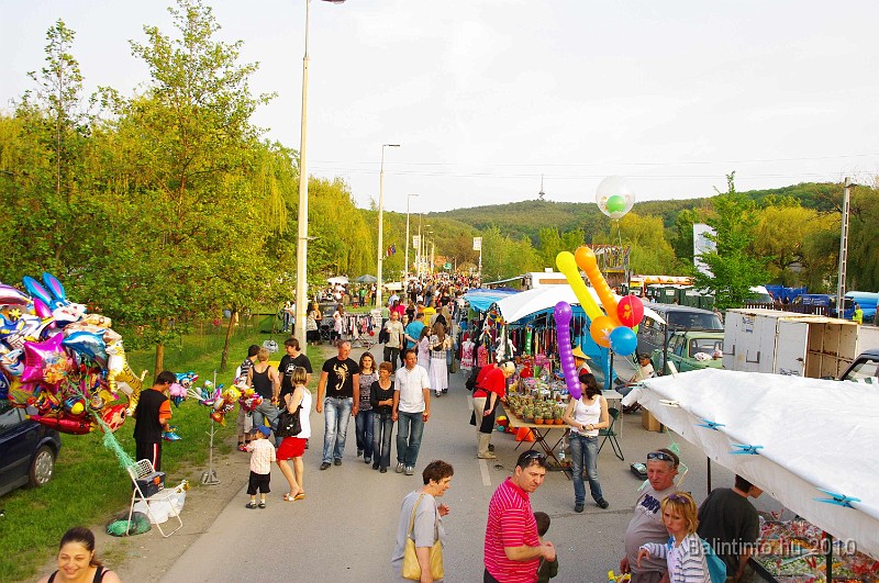 varosi_majalis_eletkepek_2010_275.jpg